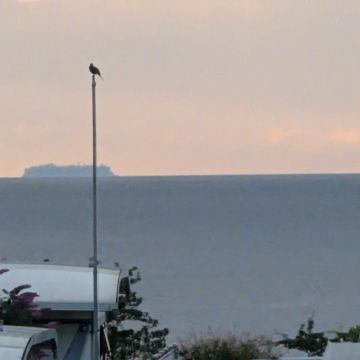 PXL_20240713_190418992.MP.jpg