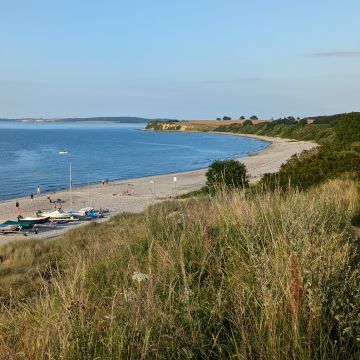 PXL_20240711_175958697.MP.jpg