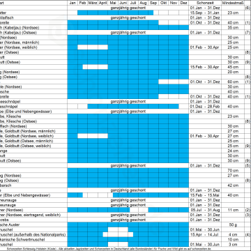 angeln-schonzeiten-mindestmasse-fische-schleswig-holstein-kueste-2048x1810.png